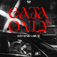 Floyymenor - Gata Only Ft Cris Mj загрузить