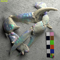 Flume - Let You Know (Feat. London Grammar) загрузить