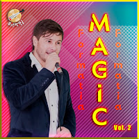 Formatia Magic - Grea E Viața загрузить