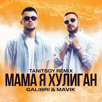 Galibri & Mavik - Мама Я Хулиган (Tanitsoy Remix) загрузить