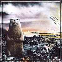 Гарик Сукачёв & Неприкасаемые - Напои Меня Водой (Брёл) загрузить