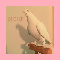 Гурт Дно - Сі Бі Ді Ft Kozachenko & Муха Мухич загрузить