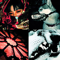 Haarper - Anemic загрузить