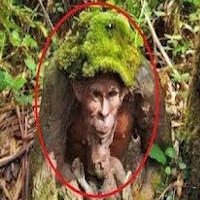 Hexxo - Ƈʀ34ȶʊʀ4///Ɖ4Ռƈ3Ʀ3 загрузить