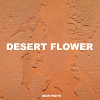 Igor Fedyk - Muslim загрузить