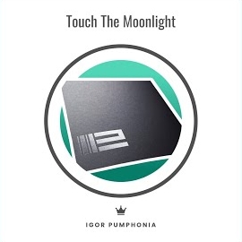 Igor Pumphonia - Touch The Moonlight загрузить