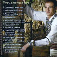 Ion Paladi - La Fantana Lui Gheorghita загрузить