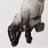 Istasha - Sea Mites загрузить