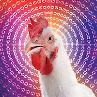 J.geco - Chicken Song (Instrumental Version) загрузить