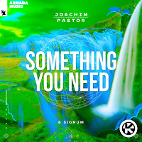 Joachim Pastor - Something You Need Ft Signum загрузить