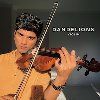 Joel Sunny - Dandelions (Violin) загрузить