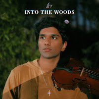 Joel Sunny - Into The Woods загрузить