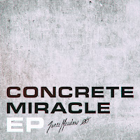 Jones Meadow - Concrete Miracle загрузить