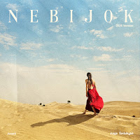 Обложка песни 