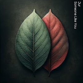 Jur - Someone Like You загрузить