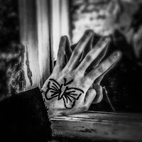 Kristijonas Ribaitis - Plaštakės загрузить