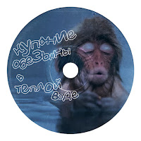 Купание Обезьяны В Тёплой Воде - Иди Сюда загрузить