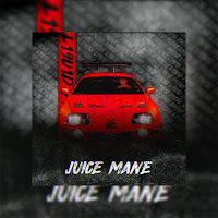 L19U1D - Juice Mane загрузить