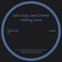 Lalo Leyy - Feeling Love Ft Lee Graves загрузить