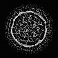 Leblanc - Eternal Bond загрузить