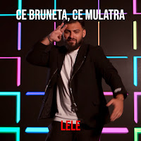 Lele - Ce Bruneta, Ce Mulatra загрузить