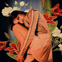 Lely45 - Гладіолуси загрузить