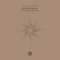 Liam Sieker - Soft Serenade загрузить