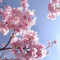 Lian Ross - Young Forever (Extended Version) загрузить