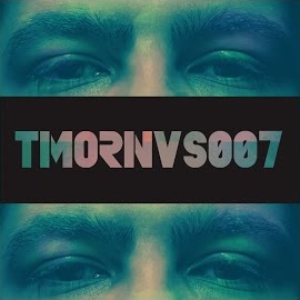 Luizfribs - You're Toxic загрузить