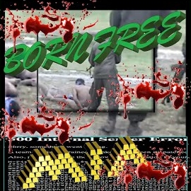 M.i.a. - Born Free загрузить