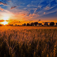 Magdelayna - Now We Are Free загрузить