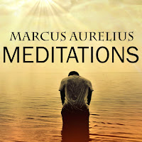 Marcus Aurelius - Chapter 6.3 & Chapter 7.1 - Meditations Ft Peter Coates загрузить