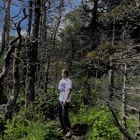 Мартин - Целый Мир загрузить