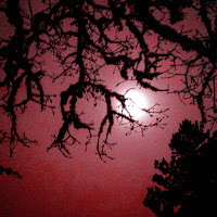 Mathbonus - Night Wrecker загрузить