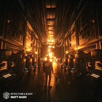 Matt Nash - Into The Light (Extended Mix) загрузить