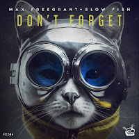 Max Freegrant - Don't Forget (Extended Mix) Ft Slow Fish загрузить