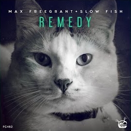 Max Freegrant - Remedy Ft Slow Fish загрузить