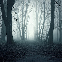 Midnight Fury - Faded ( Midnight Fury Remix ) загрузить