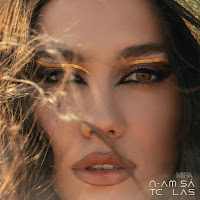 Mira - N-Am Sa Te Las загрузить