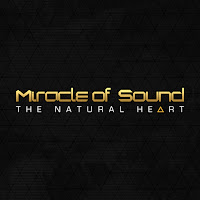 Miracle Of Sound - The Natural Heart загрузить