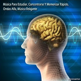Musicoterapiateam - Música Para Estudiar, Concentrarse Y Memorizar Rápido, Ondas Alfa, Música Relajante загрузить
