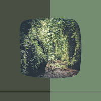 Musique Du Matin Playlist - Background For Post Work Relaxation загрузить