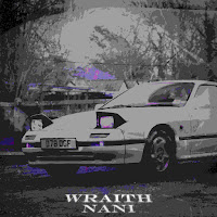 Nani - Wraith загрузить