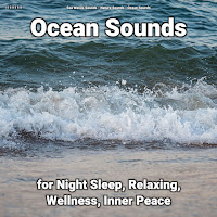 Nature Sounds - Mindfulness Buddhism Ft Ocean Sounds & Sea Waves Sounds загрузить