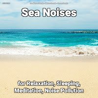 Nature Sounds - Sleep Relaxation Ft Sea Waves Sounds & Ocean Sounds загрузить