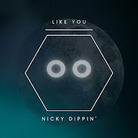 Nicky Dippin' - Like You загрузить