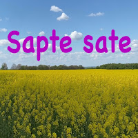 Nicolae Cretu - Sapte Sate загрузить