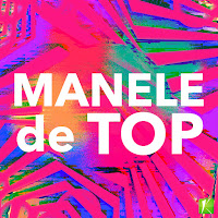 Nicu Paleru - Danseaza Iubirea Mea загрузить