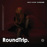 Nikko Culture - In The Dark Ft Tina Lm & Roundtrip.music загрузить