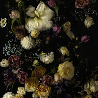 Noga Erez - Come Back Home загрузить